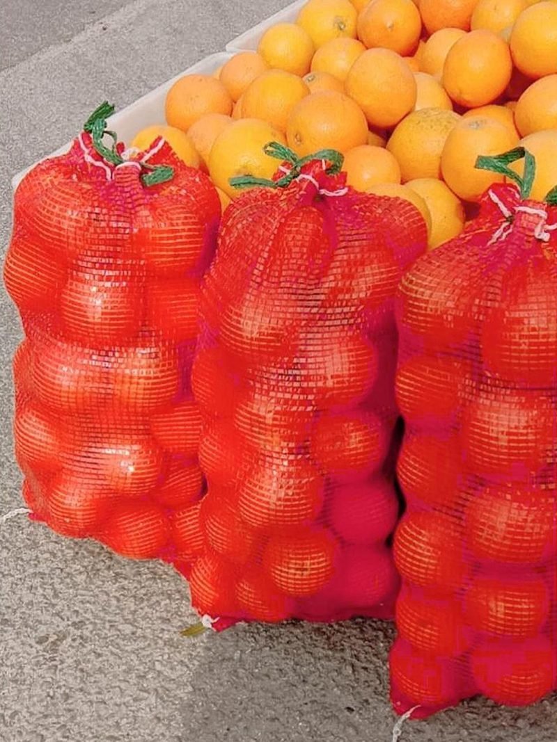 微信图片_20251211160259_217_356